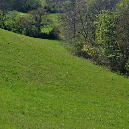 Chambre D'Hote Au Domaine Terre De Chenes Saint-Paul-de-Baise Exteriör bild