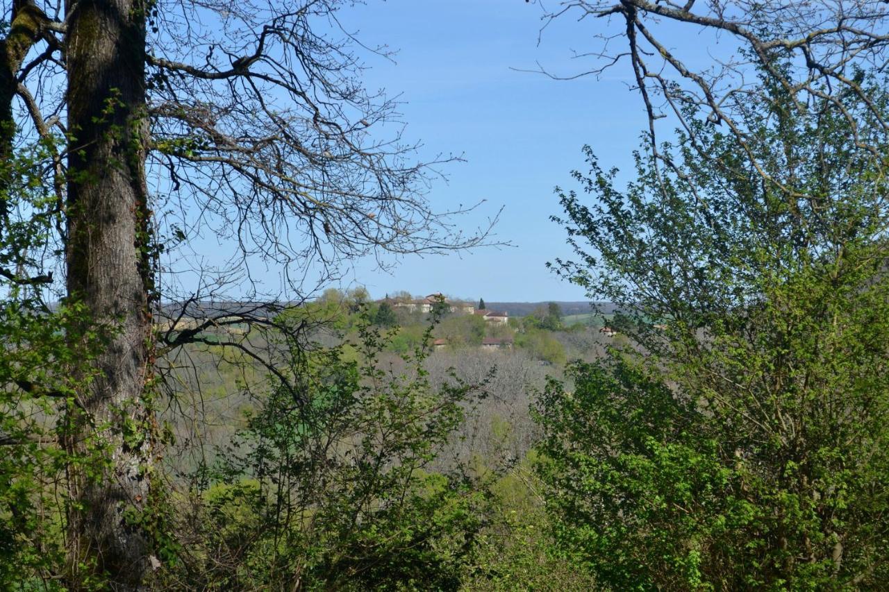 Chambre D'Hote Au Domaine Terre De Chenes Saint-Paul-de-Baise Exteriör bild