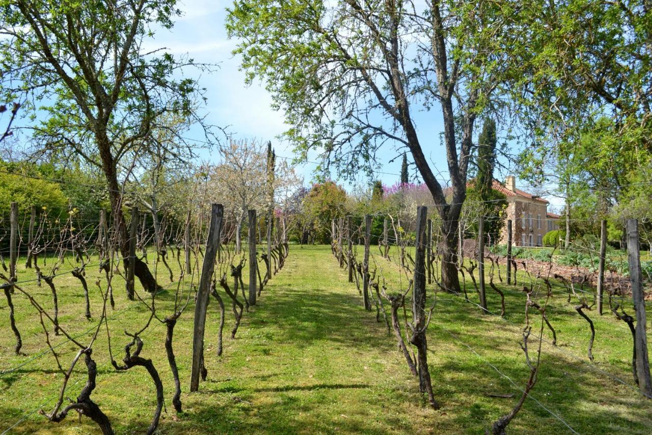 Chambre D'Hote Au Domaine Terre De Chenes Saint-Paul-de-Baise Exteriör bild