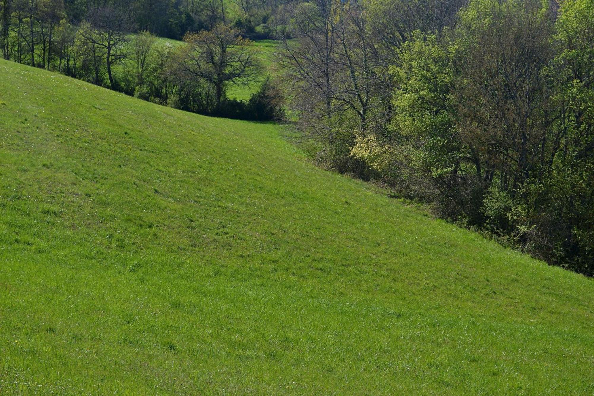 Chambre D'Hote Au Domaine Terre De Chenes Saint-Paul-de-Baise Exteriör bild