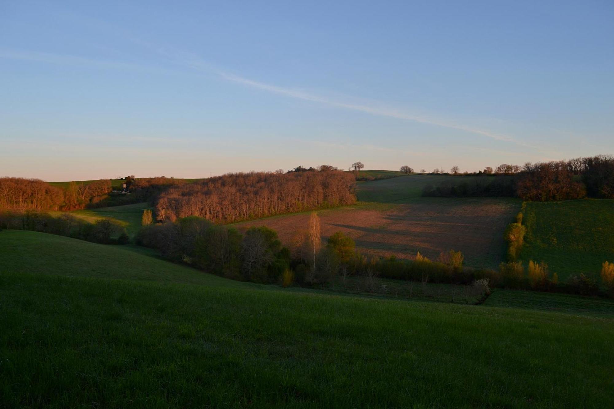 Chambre D'Hote Au Domaine Terre De Chenes Saint-Paul-de-Baise Exteriör bild